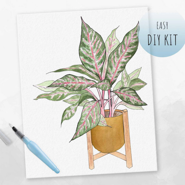 Watercolor Kit - Pink Aglaonema