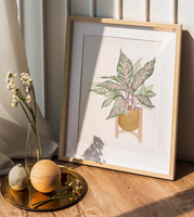 Watercolor Kit - Pink Aglaonema