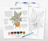 Watercolor Kit - Pink Aglaonema