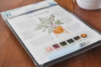 Watercolor Kit - Pink Aglaonema