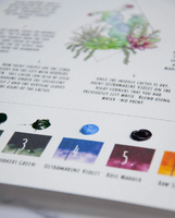 Watercolor Kit - Terrarium