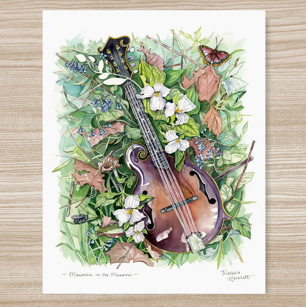 Rosalie Haizlett  Print - Mandolin In The Meadow