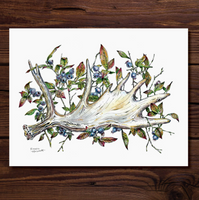Rosalie Haizlett  Print - Moose Antler