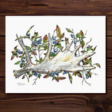 Rosalie Haizlett  Print - Moose Antler