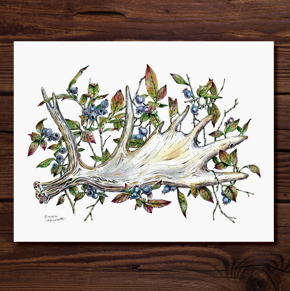 Rosalie Haizlett  Print - Moose Antler