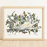 Rosalie Haizlett  Print - Moose Antler