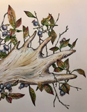 Rosalie Haizlett  Print - Moose Antler
