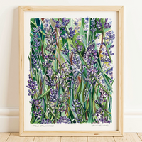 Rosalie Haizlett  Print - Field Of Lavender
