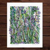 Rosalie Haizlett  Print - Field Of Lavender