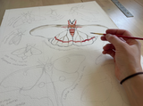 Rosalie Haizlett  Print - Moths Of Eastern North America