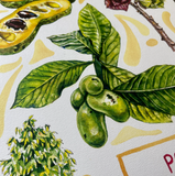 Rosalie Haizlett  Print - Pawpaw