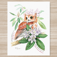 Rosalie Haizlett  Print - Screech Owl + Rhododendron