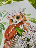 Rosalie Haizlett  Print - Screech Owl + Rhododendron