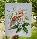 Rosalie Haizlett  Print - Screech Owl + Rhododendron