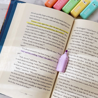 Bears Highlighter Pen Set