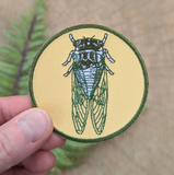 Cicada Patch