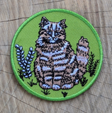 Outside Patch Cat