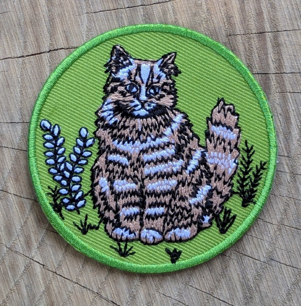 Outside Patch Cat
