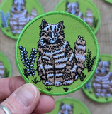 Outside Patch Cat