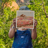 Desert Mountain #30 Art Print