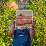 Desert Mountain #30 Art Print
