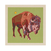 Bison Art Print