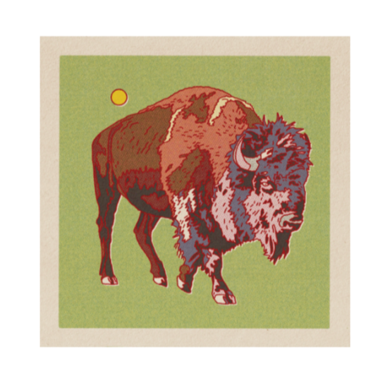 Bison Art Print