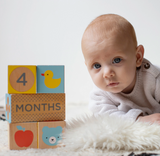 Wooden Baby Milestone Blocks