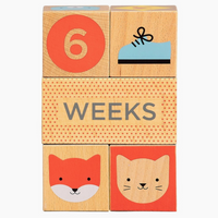 Wooden Baby Milestone Blocks