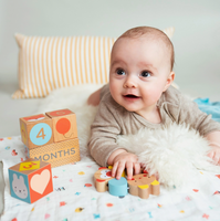 Wooden Baby Milestone Blocks