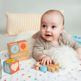 Wooden Baby Milestone Blocks