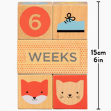 Wooden Baby Milestone Blocks
