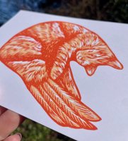Shrimp Cat Linocut Print