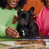 Le Puzz 500 Piece Puzzle - Howdy Paw-Tner