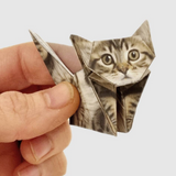 Origami Animals - Paper Cats