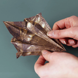 Origami Animals - Paper Dinos