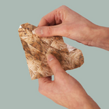 Origami Animals - Paper Pups