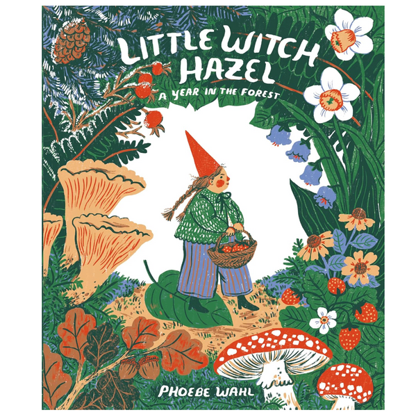 Little Witch Hazel: A Year in the Forest