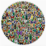 Christopher Marley: Macrocosm 500-Piece Circular Jigsaw Puzzle