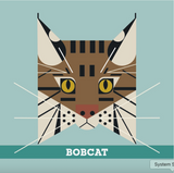 Charley Harper’s Animals Memory Game