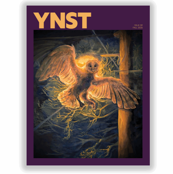 Y N S T Magazine - Issue 9