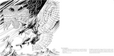 The Cryptid Creatures Coloring Book: From Bigfoot and Mothman to the Chupacabra, Color the World's Most Mysterious Monsters