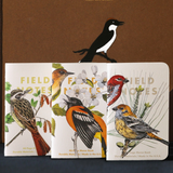 Field Notes 3 Pack - Birds + Trees Pack B