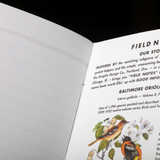 Field Notes 3 Pack - Birds + Trees Pack B