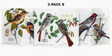 Field Notes 3 Pack - Birds + Trees Pack B