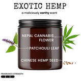 You're An Awesome Neighbor! Keep That Shit Up! Candle