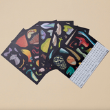 Ancient Animals Construction Magnetic Kit