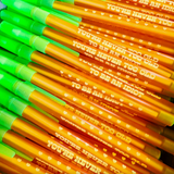 Stick Pen - You're Never Too Old To Be An Idiot