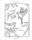 30 Dirty Birdies: An Adult Coloring Book