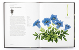 The Story of Flowers: And How They Changed the Way We Live